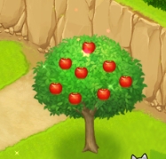 りんごの木