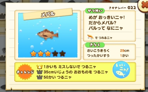 釣った魚の情報
